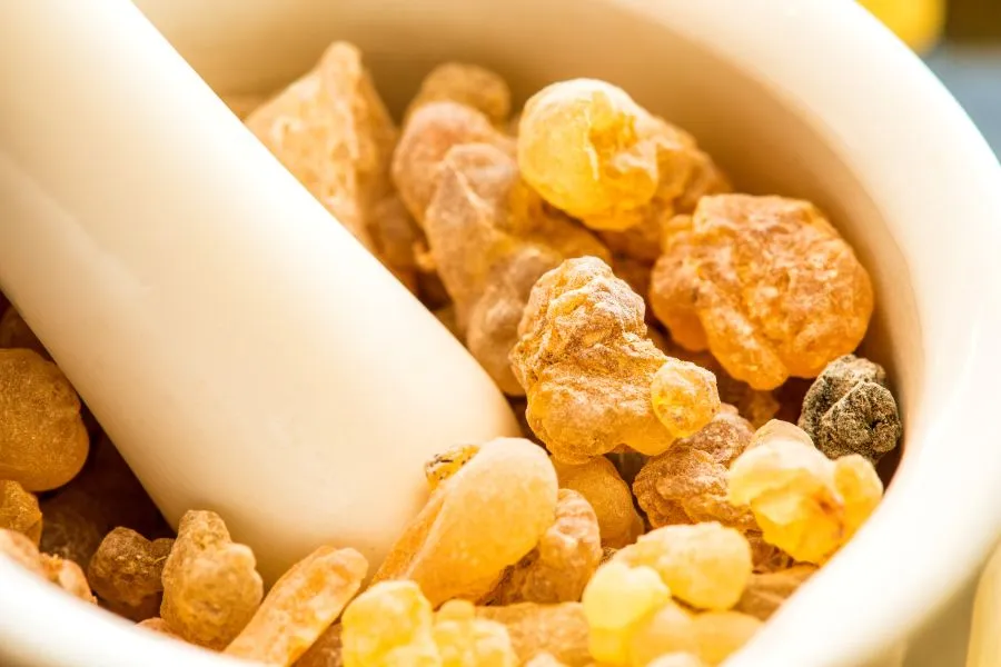 Boswellia serrata gum resin extract